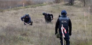 Фермеры на освобожденных территориях могут получить компенсации за разминирование