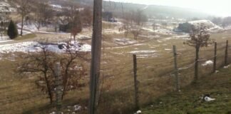 Партизаны выяснили, что было поражено на аэродроме в Бельбеке
