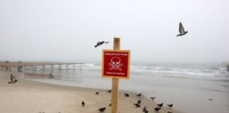 Морские силы показали видео уничтожение мин на пляже в Одесской области