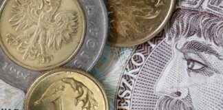 Злотый подешевел к гривне