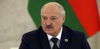 “Получили по ушам”: Лукашенко запретил “шутить с картошкой”