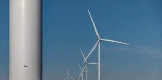 ДТЭК усовершенствовал прогнозы производства зеленой энергии, что улучшит стабильность энергосистемы