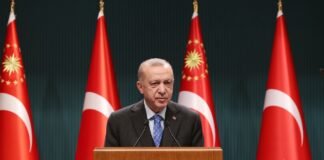 Генсек НАТО и президент Турции обсудили гарантии безопасности для Украины