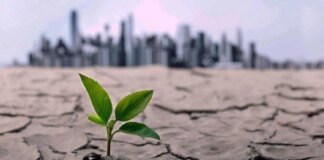 UN names five key aspects to halt global warming