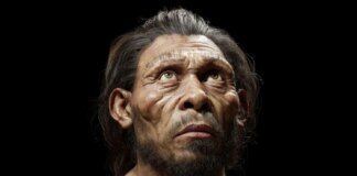 A 1-million-year-old skull found may indicate an earlier origin of humans