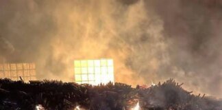 Occupiers attacked the AZNAURI cognac production enterprise in Odesa region