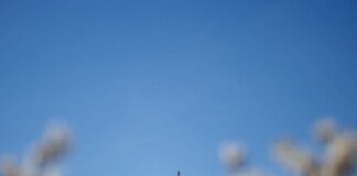 Trump, Vance, and Republicans blame Democrats for potential US shutdown