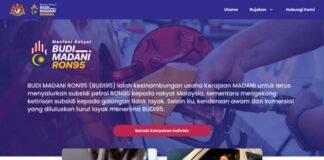 Budi95: website online, Malaysians can now check for RON95 petrol subsidy eligibility with MyKad number