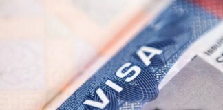 $3,800 Flights and Aborted Takeoffs: How Trump’s H-1B Announcement Panicked Tech Workers