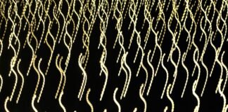 Cross-Chain is the new competitive edge: Building secure, interoperable systems in the Web3 era