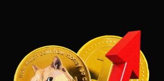 Memecoins Are Coming to the Stock Market