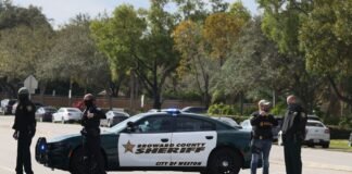 Подробности массовой стрельбы на парковке в США: два человека погибли, пятеро ранены