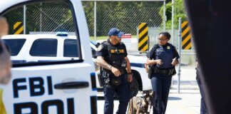 FBI prevented a potential Halloween terror attack in Michigan, several people arrested