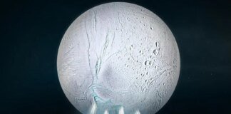 Organic molecules that could indicate the possibility of life have been discovered on Saturn's moon – scientists