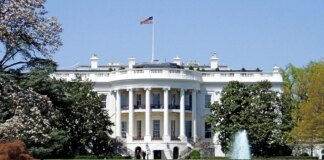 UFC tournament at the White House to be held on June 14 next year, on Trump's 80th birthday – Reuters