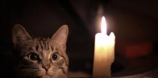 In Shostka, electricity supply has been restored in some houses, others receive power according to a schedule