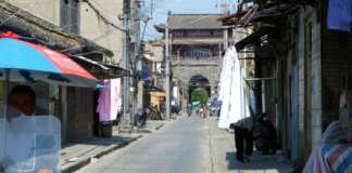 Walking dogs and accompanying to doctors: Chinese real estate companies change profile due to market problems