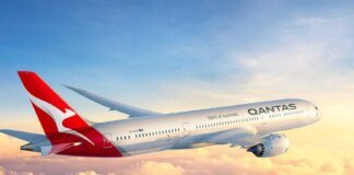 Qantas airline data, stolen during a cyberattack in July, has been made publicly available online