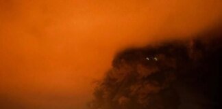 Strike on oil depot in Feodosia: 11 fuel tanks damaged, 800 people evacuated