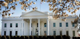 White House shows official photo of Trump's meeting with Zelenskyy