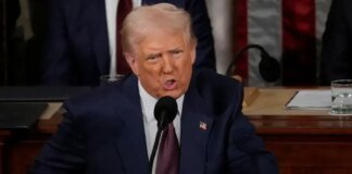 Trump named possible successors for US president