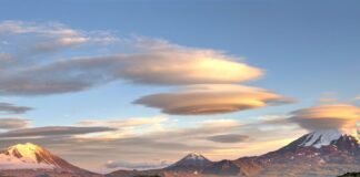 20 mind-boggling optical illusions you can find in nature