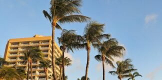 I spent a week in the Caribbean. There are 5 items I’m glad I brought, and 3 I wish I’d packed.