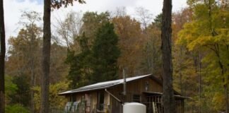 My husband and I moved to an off-grid cabin in West Virginia 10 years ago. This lifestyle has been tough, but worth it.
