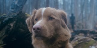 The ‘Good Boy’ ending is one of the most heartfelt things you’ll see this year