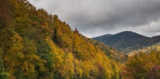One National Park is staying open during the government shutdown