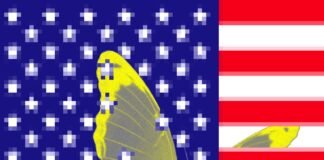 This Startup Wants to Spark a US DeepSeek Moment