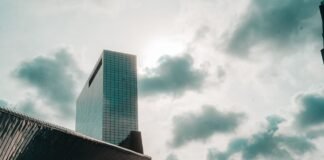 How smart companies turn digital clutter into competitive advantage