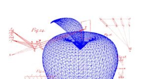 This Open Source Robot Brain Thinks in 3D