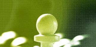 WIRED Roundup: Satellites Data Leak, Cybertrucks, Politicized Federal Workers