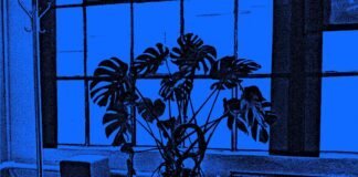 The Argument for Letting AI Burn It All Down