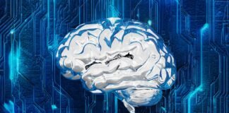 How software audits enhance performance, security, and overall effectiveness ROI