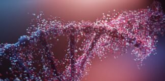 Project Paraphrase shows AI can redesign toxins to evade security screening