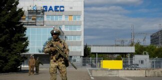 Local ceasefire declared near Zaporizhzhia NPP for power line repair – IAEA