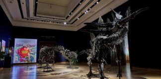 British police seize dinosaur skeletons worth £12 million