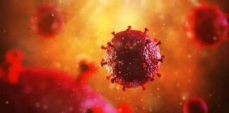 Scientists from the University of Cologne have discovered a "promising" antibody against HIV