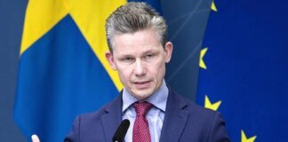 Sweden may help finance Gripen aircraft deal for Ukraine – Media