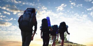 World Responsible Tourism Day and International Medical Physics Day: what else is celebrated on November 7