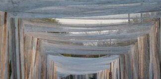 European fishermen send fishing nets to Ukraine to protect against Russian drones