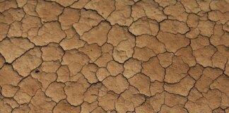 England faces worst drought in decades next year – The Guardian