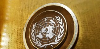 Trump's Gaza plan faces key UN Security Council vote