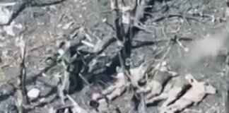 Occupiers shot 5 captured Ukrainian Armed Forces servicemen, investigation launched – Prosecutor General's Office