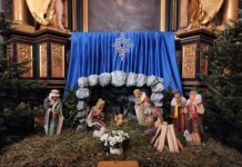 No Christmas tree, but with a nativity scene: which cities in Ukraine refused New Year's trees