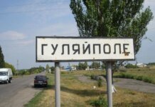 Defense Forces actively destroyed Russians fleeing to Huliaipole – Kovalenko