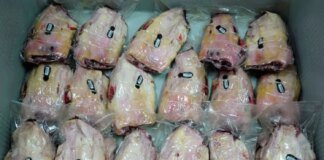 Spain records new suspected cases of African swine fever: pork exports at risk, markets closing