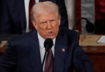 No deadlines for either side: Trump commented on negotiations for a "peace deal"